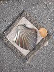 compostelle3
