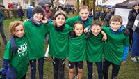 12 - Cross BG1