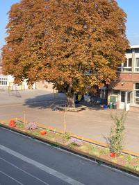IMG_3422[1]