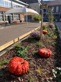 IMG_3423[1]